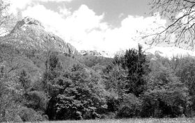 Montagna_1
