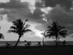 IMG2254 Immagine1