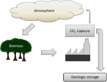 Impianto a biomassa con CCS. Fonte: Global CCS Institute